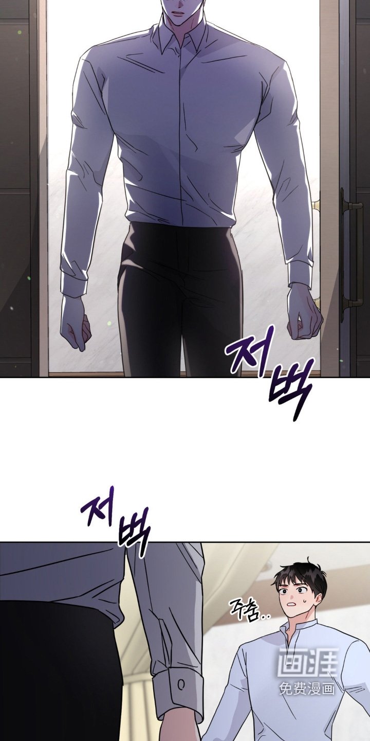 第21章：选项