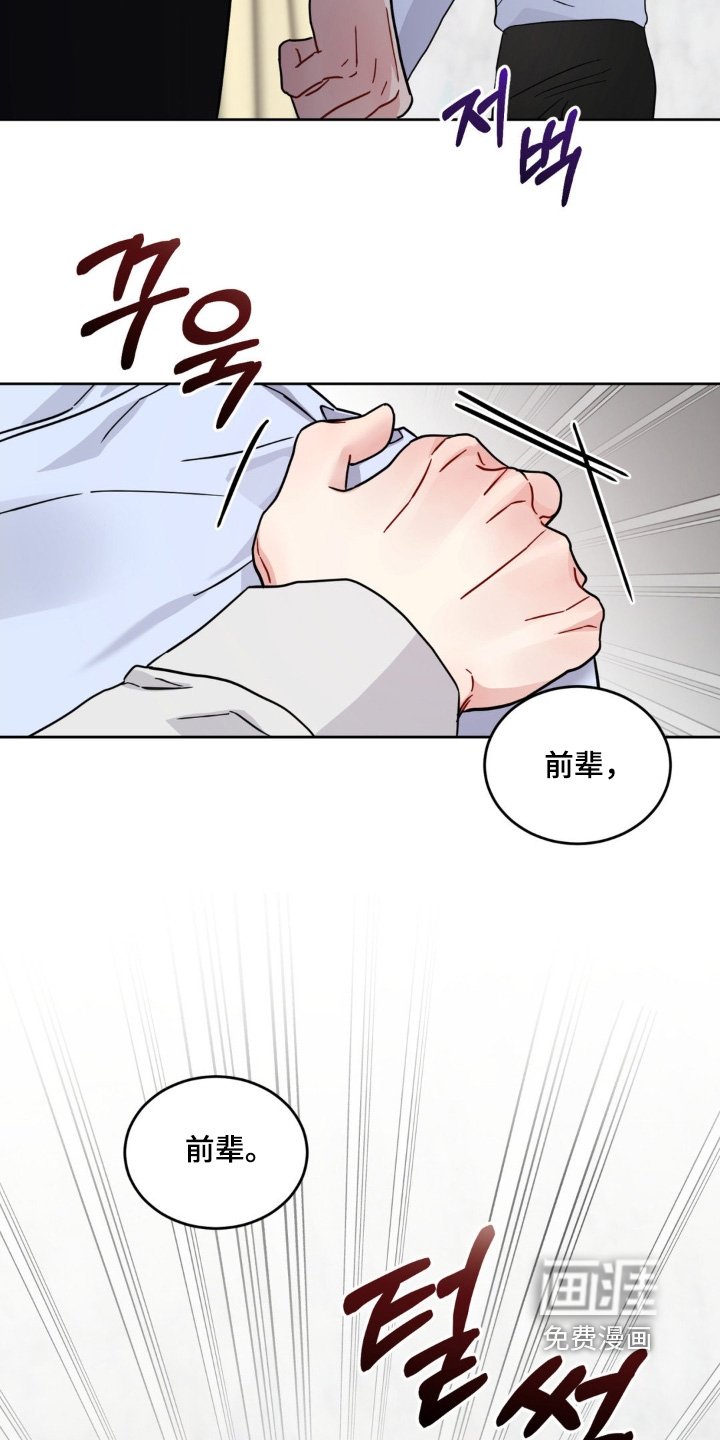 第21章：选项