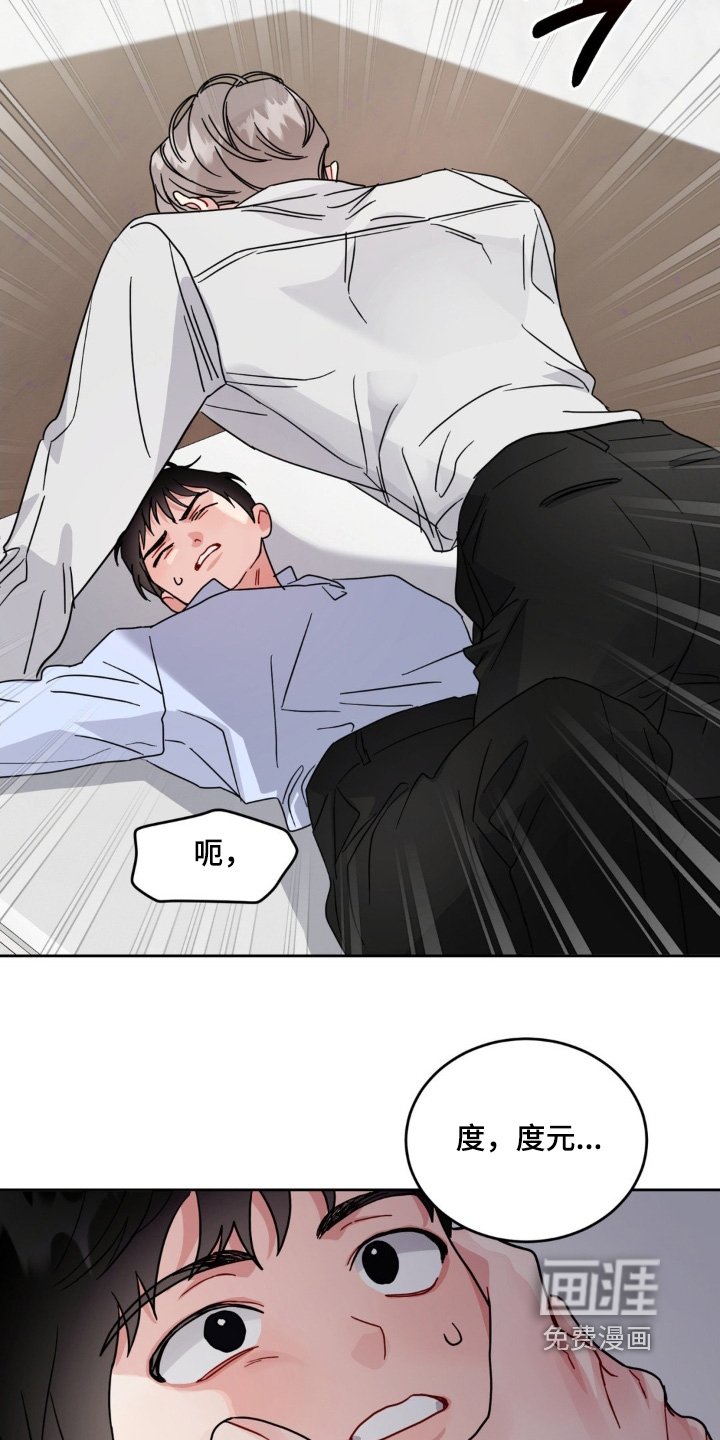 第21章：选项