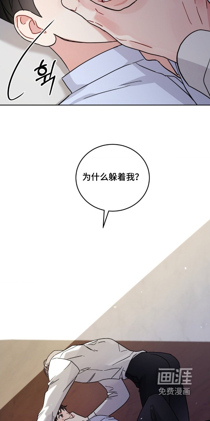 第21章：选项