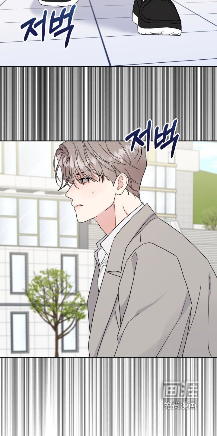 第36章：回来了