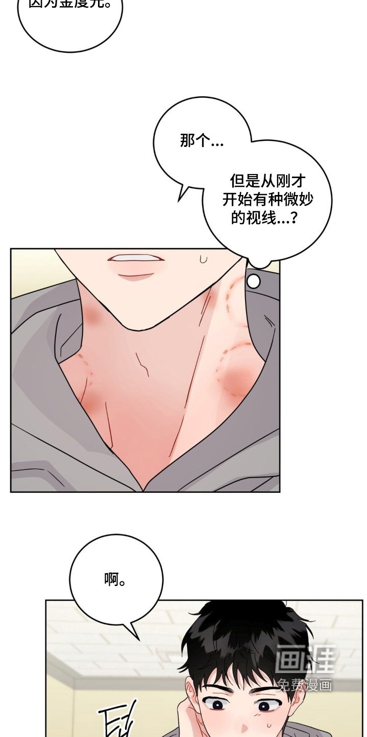 第36章：回来了