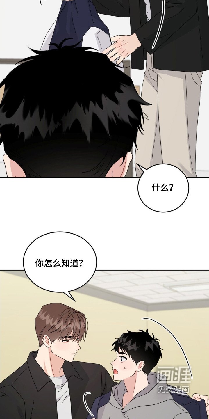 第36章：回来了