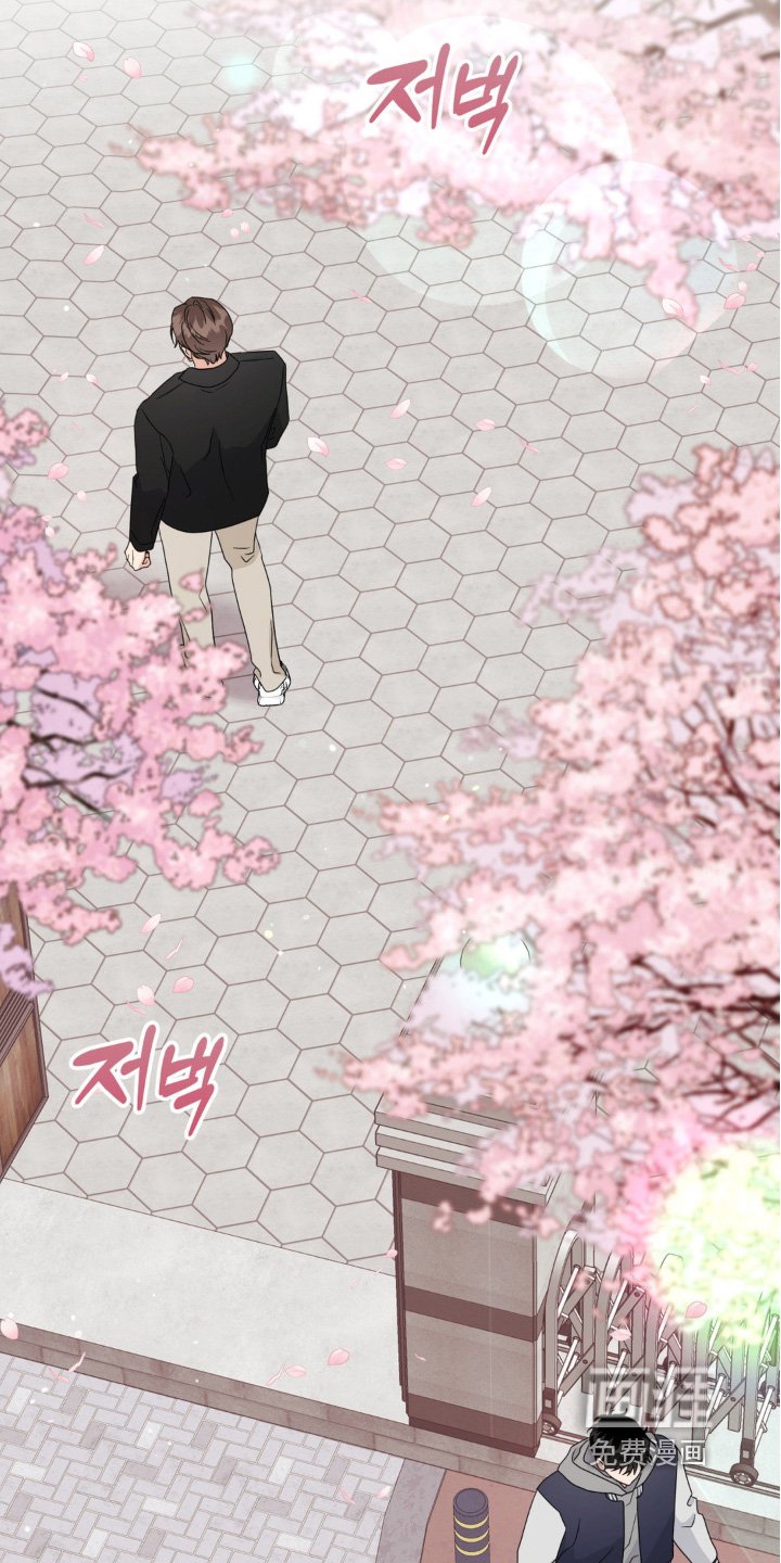 第38章：是否会选择