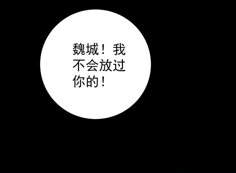 第15章：摆脱不了的魏城