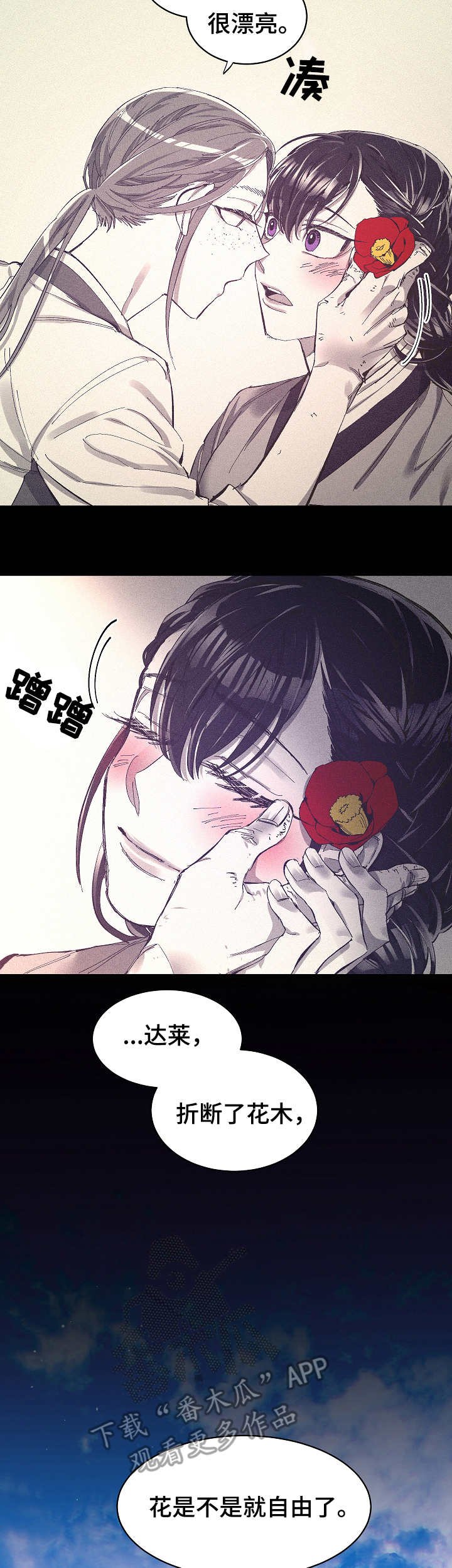 第16章：自由的花
