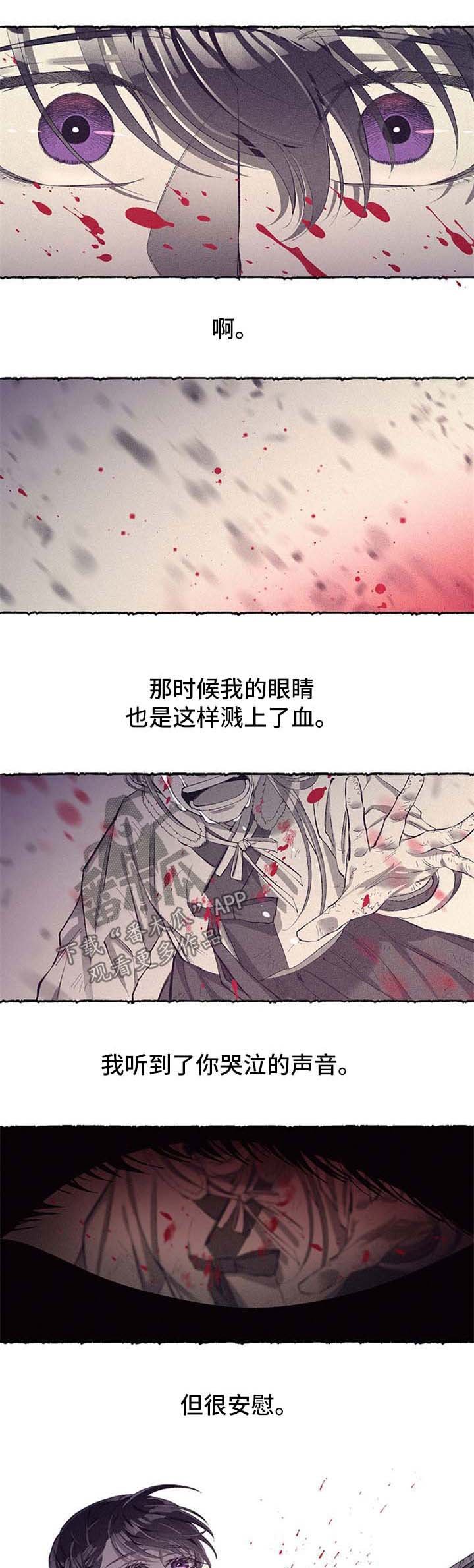 第41章：受伤