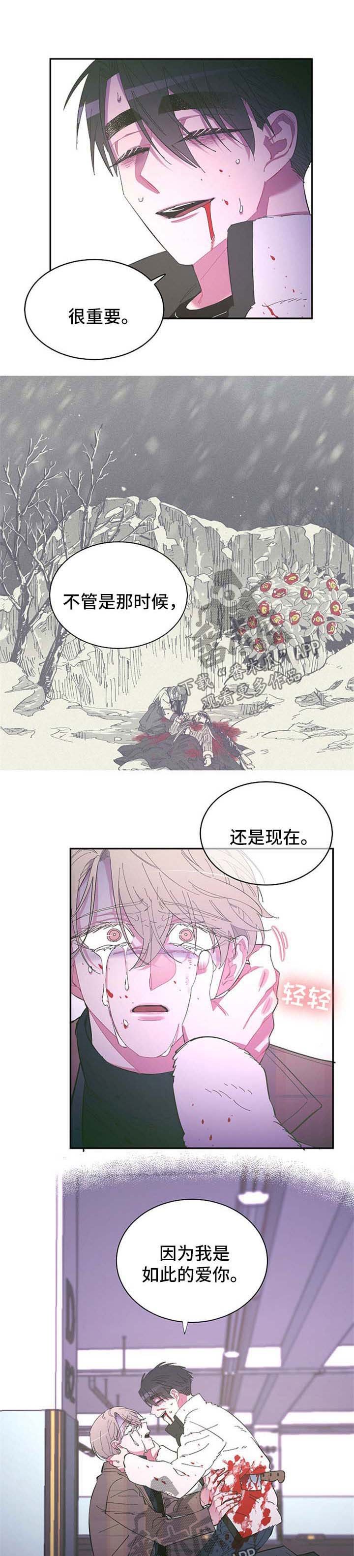 第41章：受伤