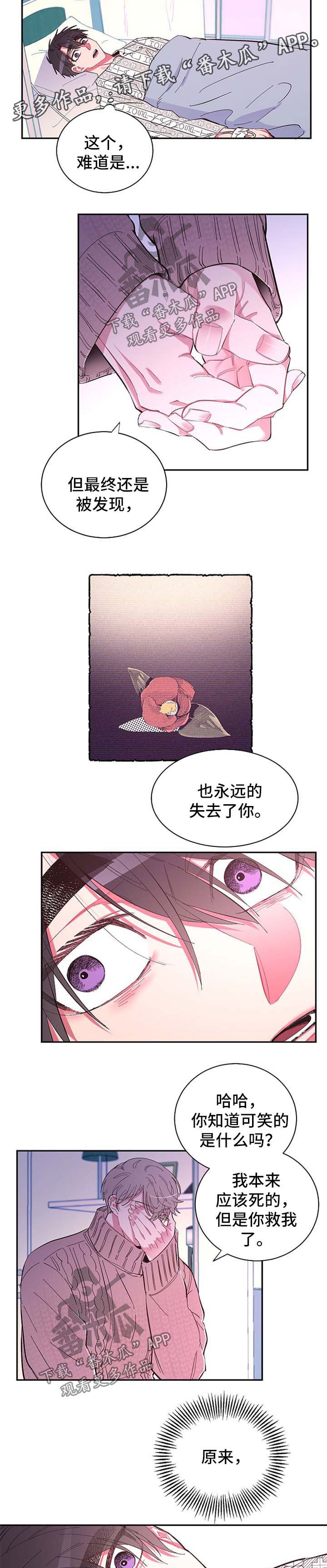第42章：不想再失去你