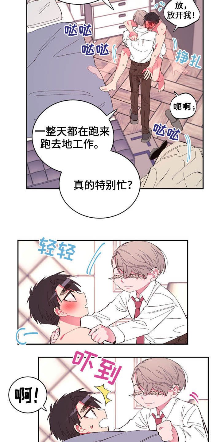 第65章：【第二季】计划