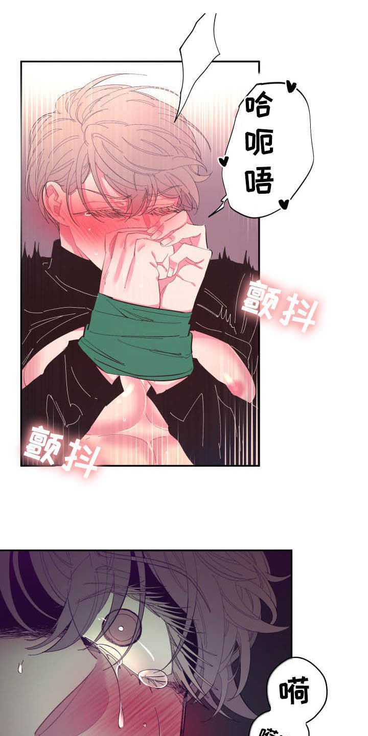 第67章：【第二季】证明