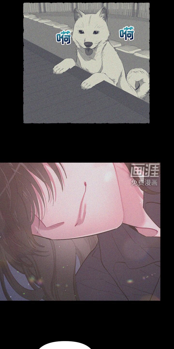 第80章：【第二季】从来没这样过