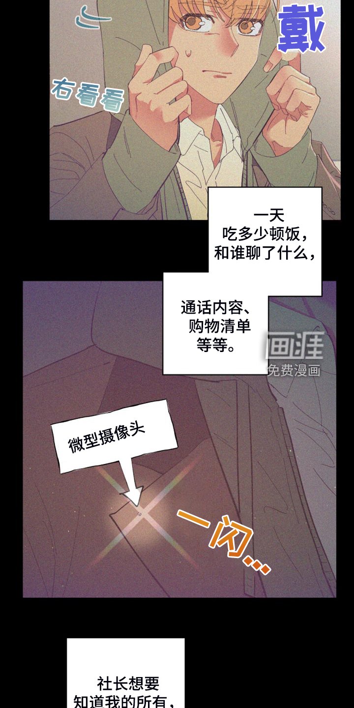 第82章：【第二季】校园传言