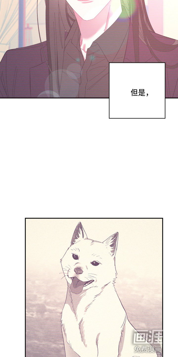 第90章：【第二季】当然不会