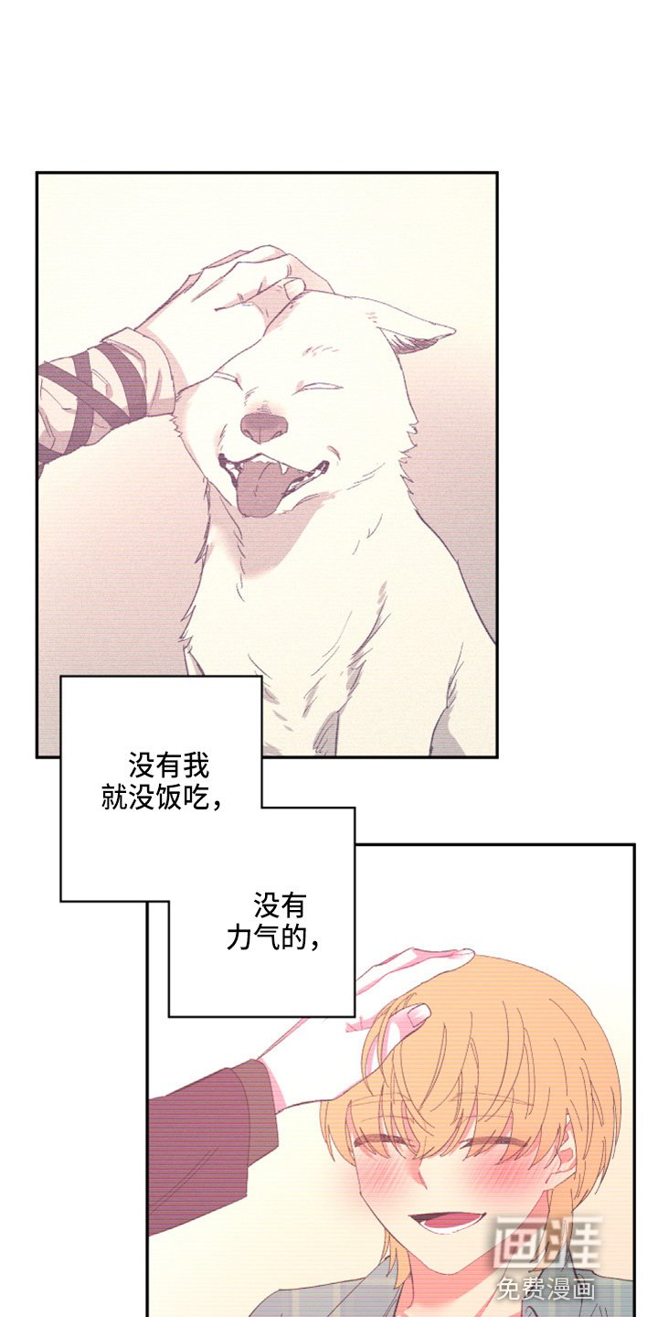 第90章：【第二季】当然不会