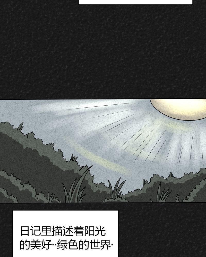 第17章：寻光上
