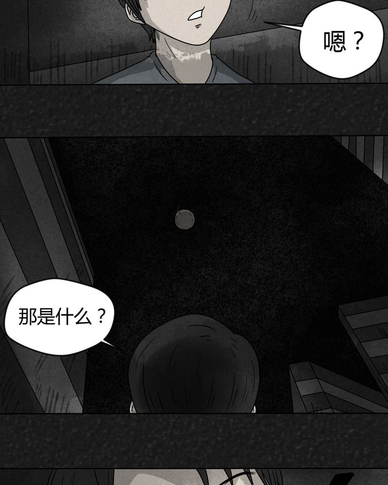 第17章：寻光上