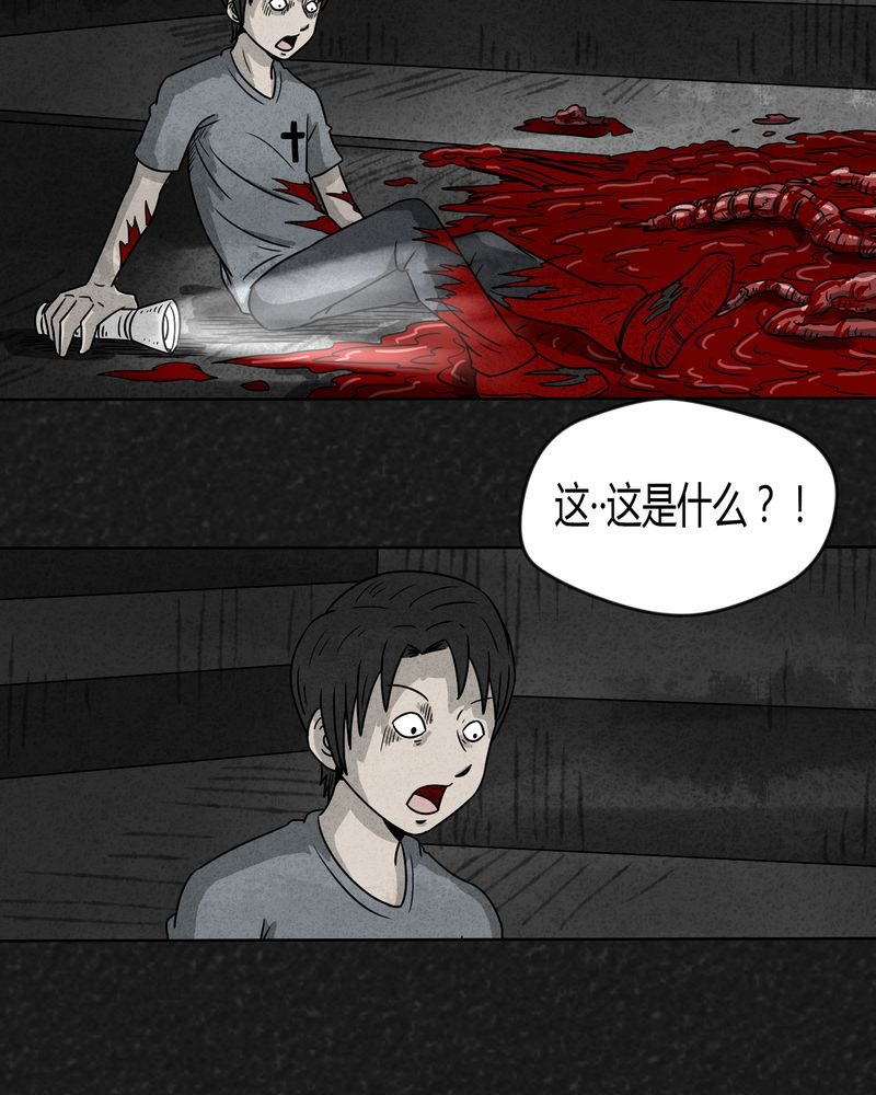 第17章：寻光上
