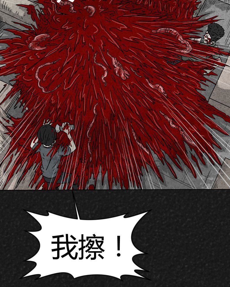 第17章：寻光上