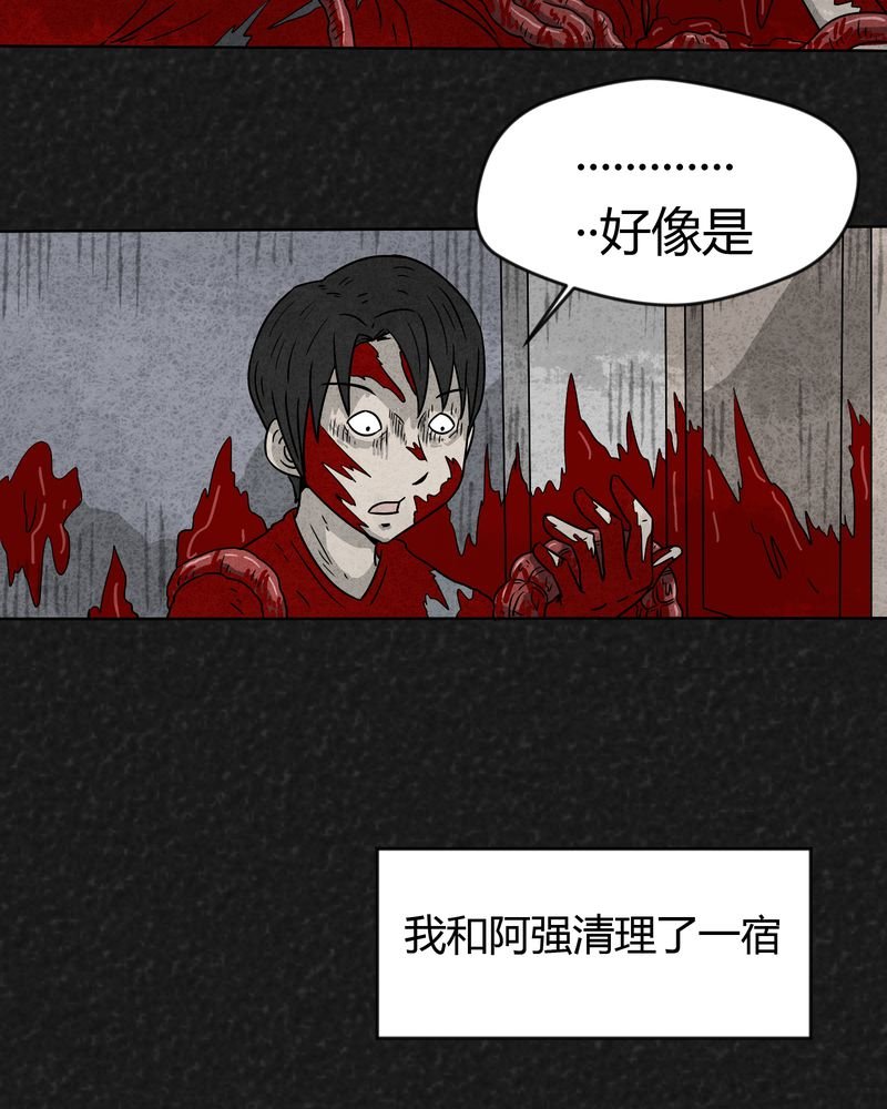 第17章：寻光上