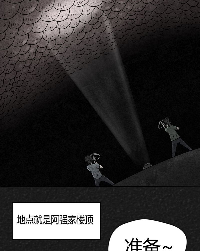 第18章：寻光下