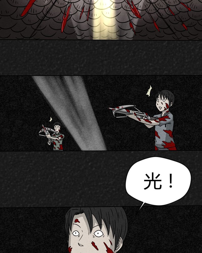 第18章：寻光下