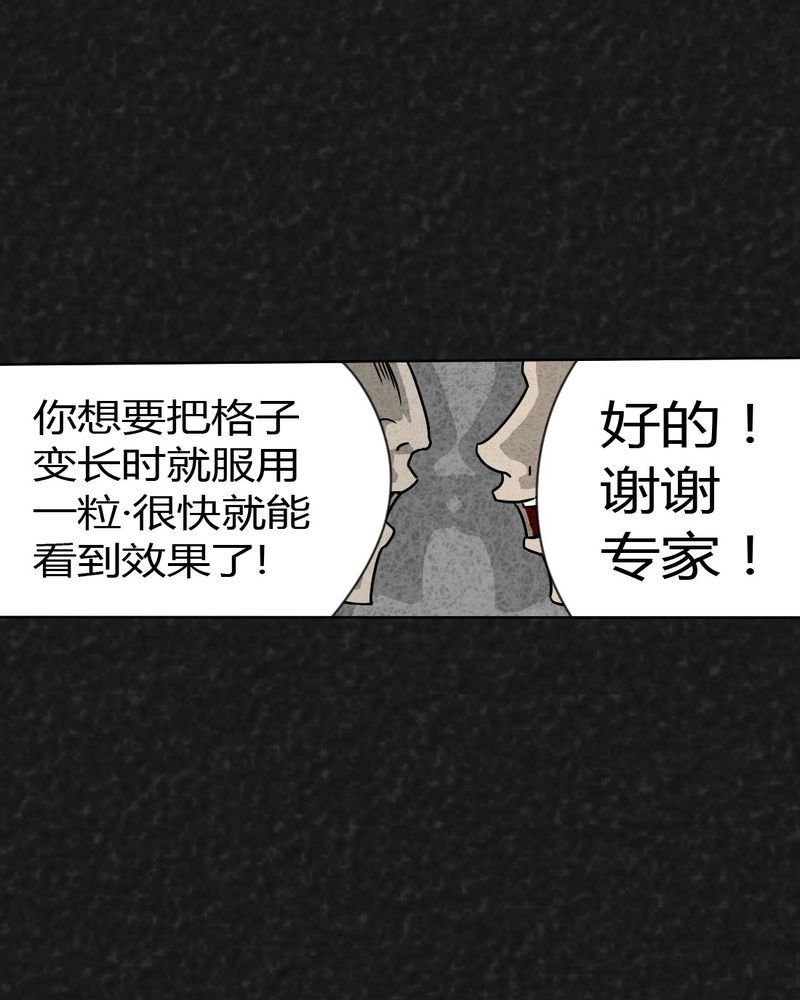 第19章：格子