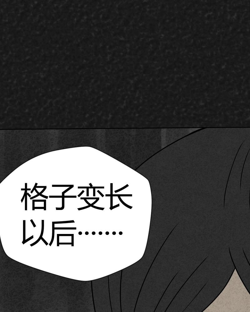 第19章：格子