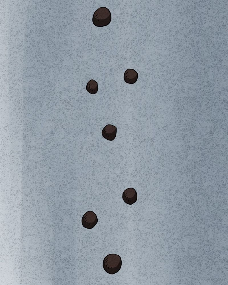 第19章：格子