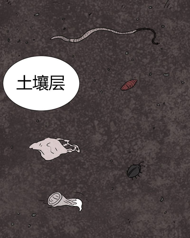 第19章：格子
