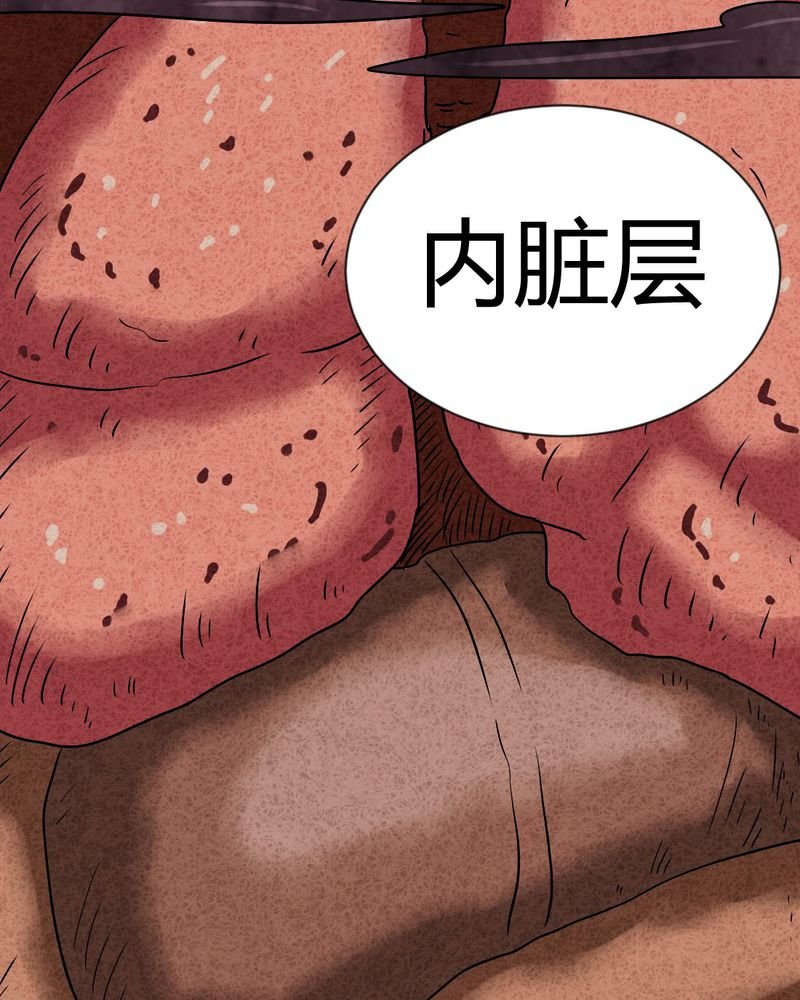 第19章：格子