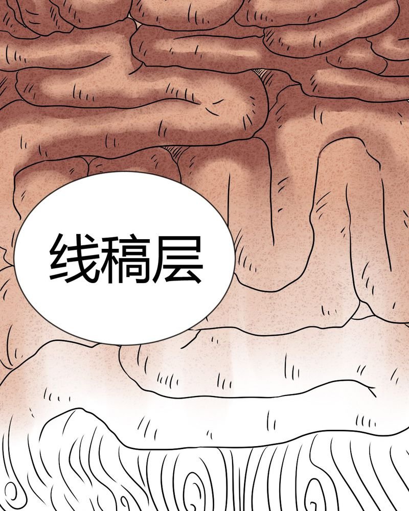第19章：格子