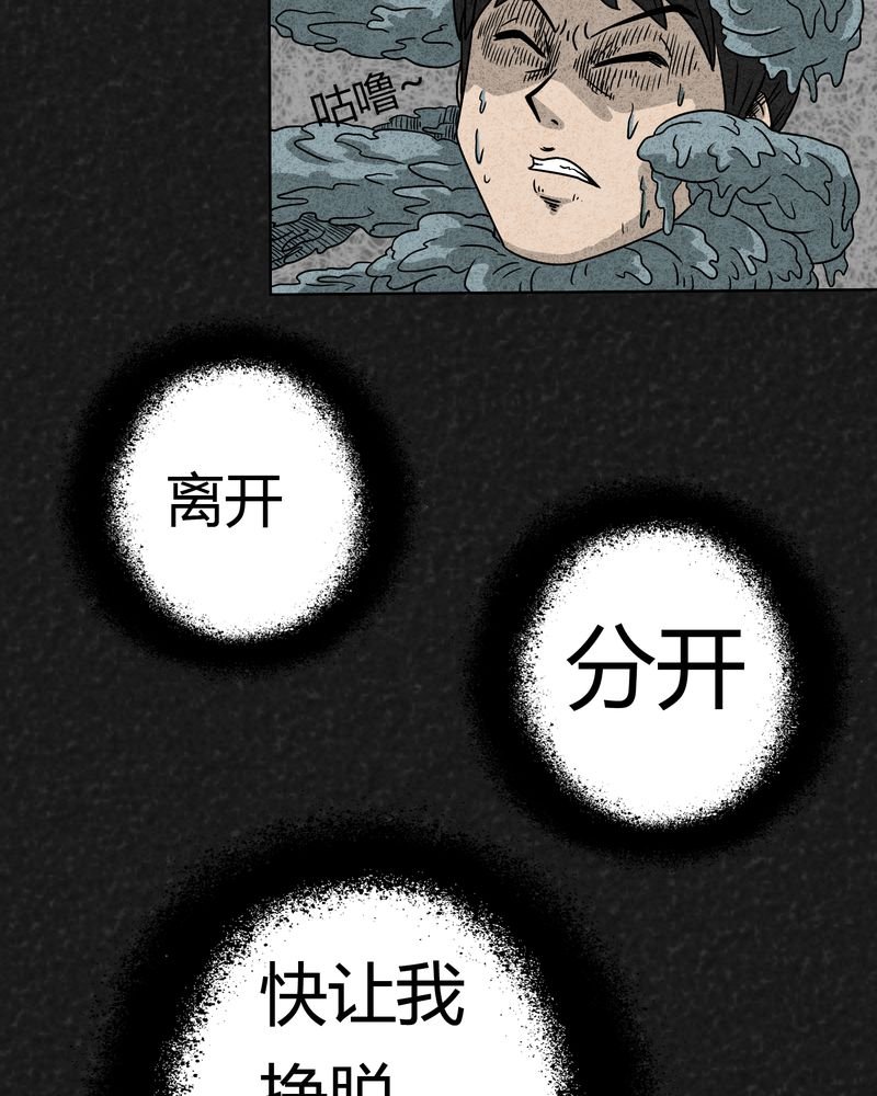 第2章：神奇的药丸