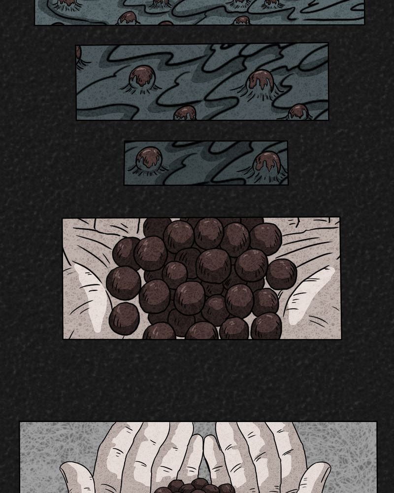 第2章：神奇的药丸