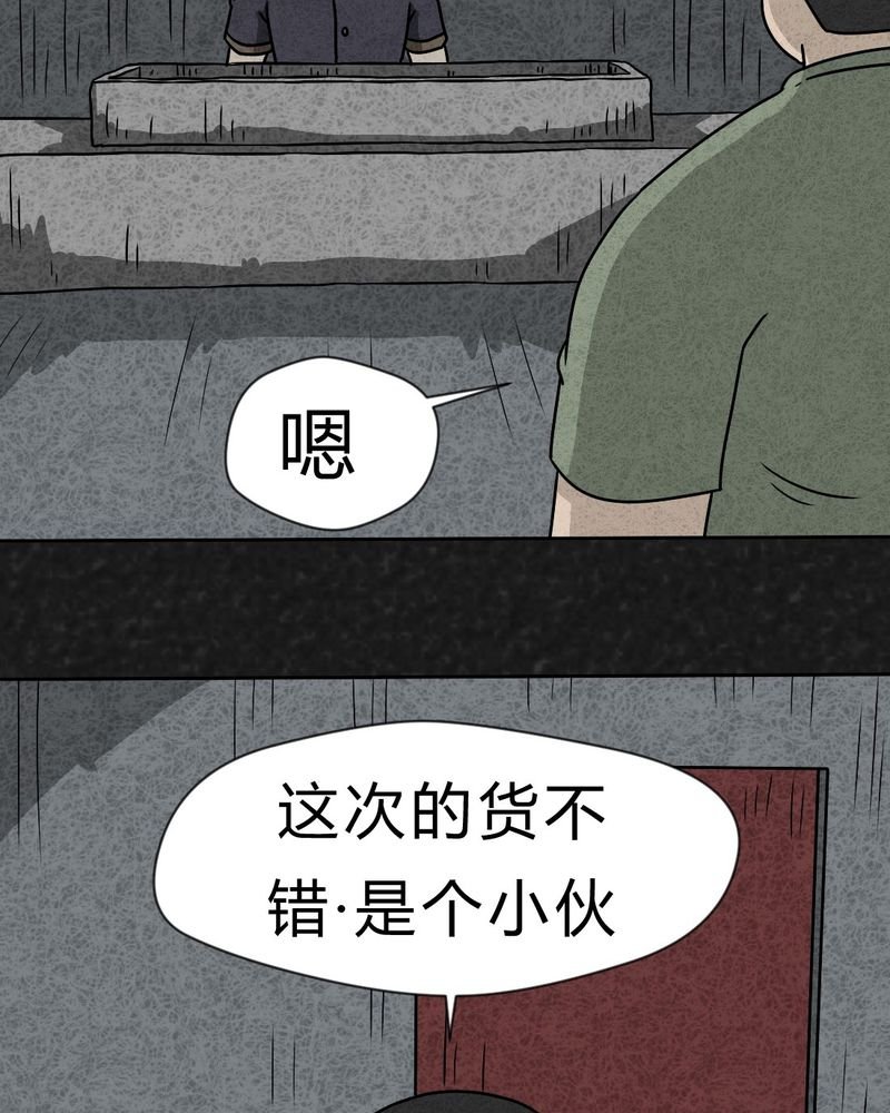 第20章：内脏大盗上