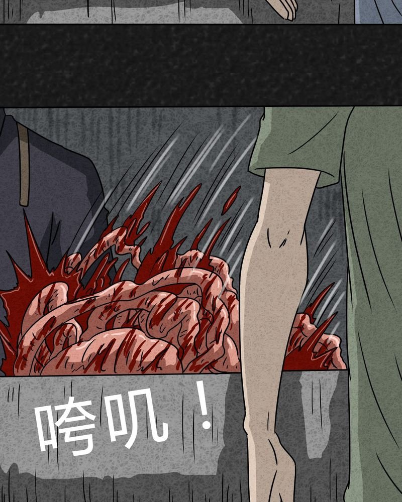 第20章：内脏大盗上