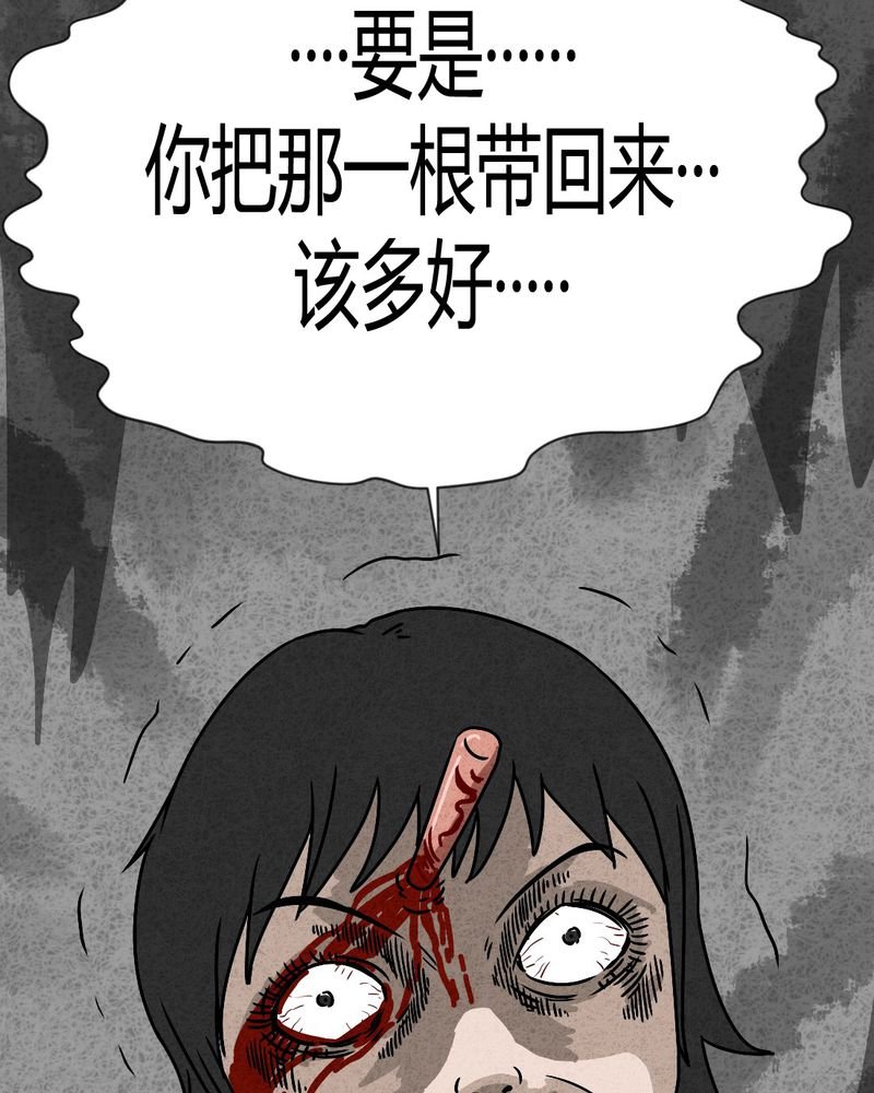 第41章：圆柱体3