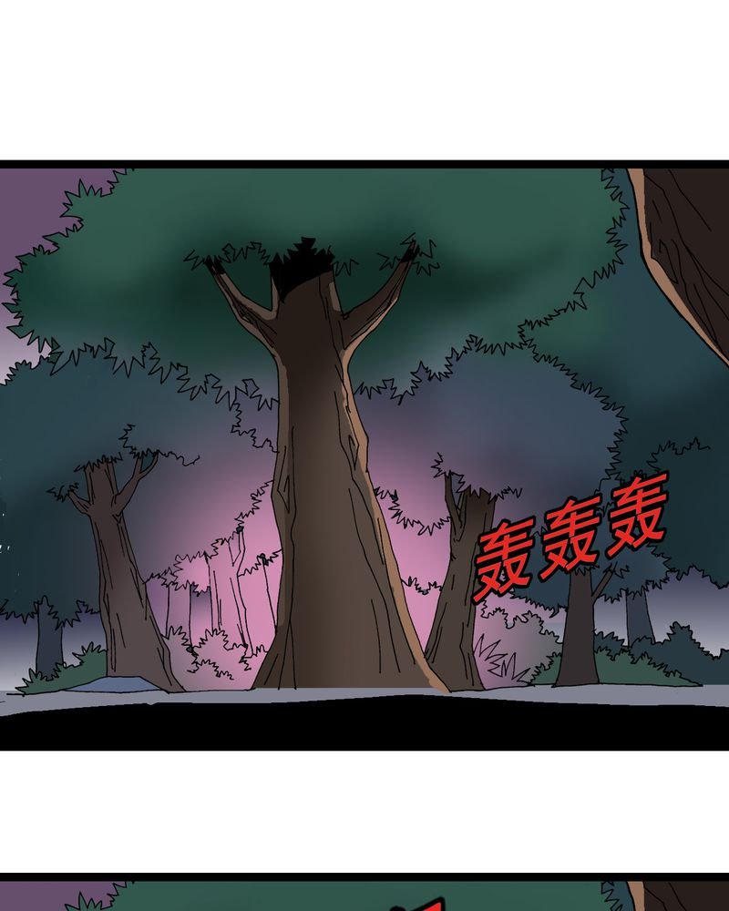 第14章：两个原因