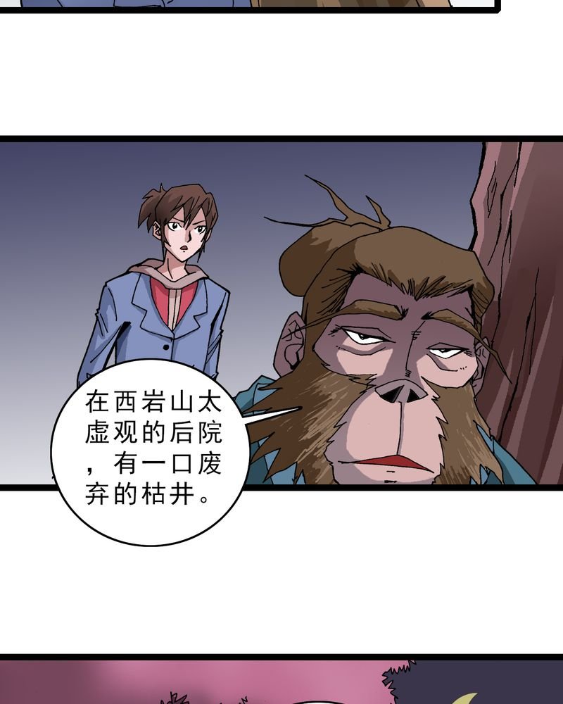 第14章：两个原因