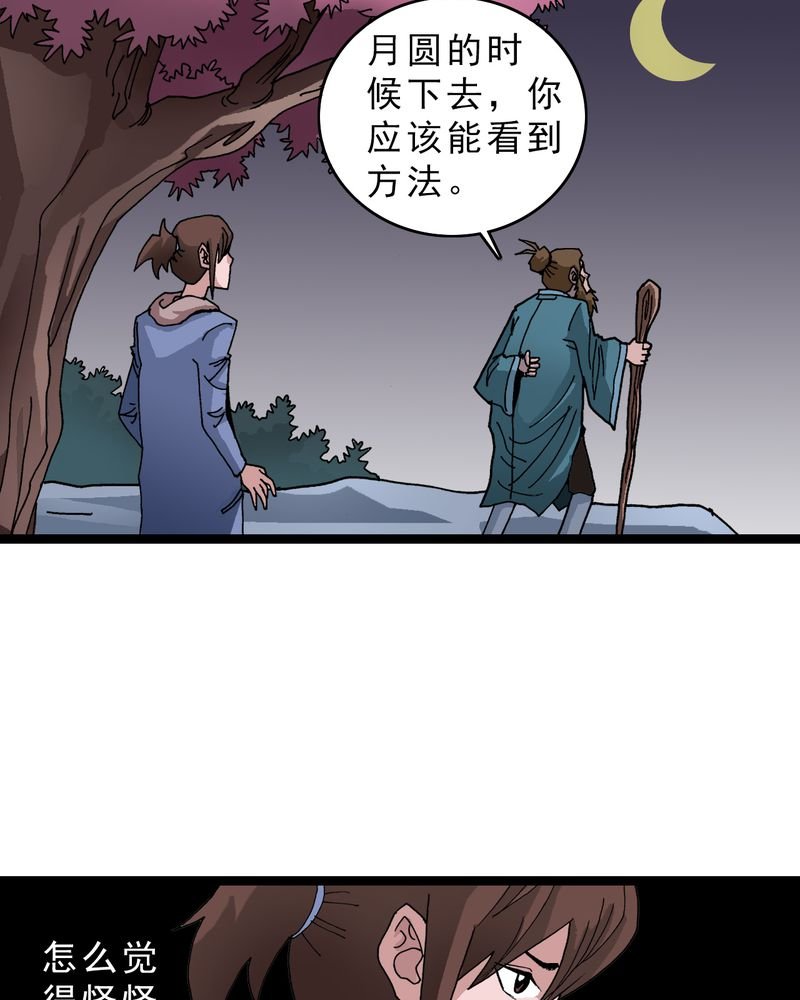 第14章：两个原因