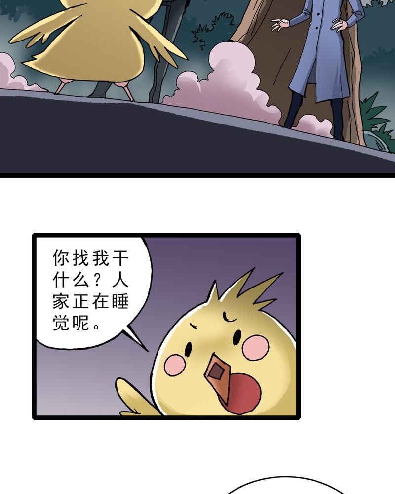 第19章：开始追击