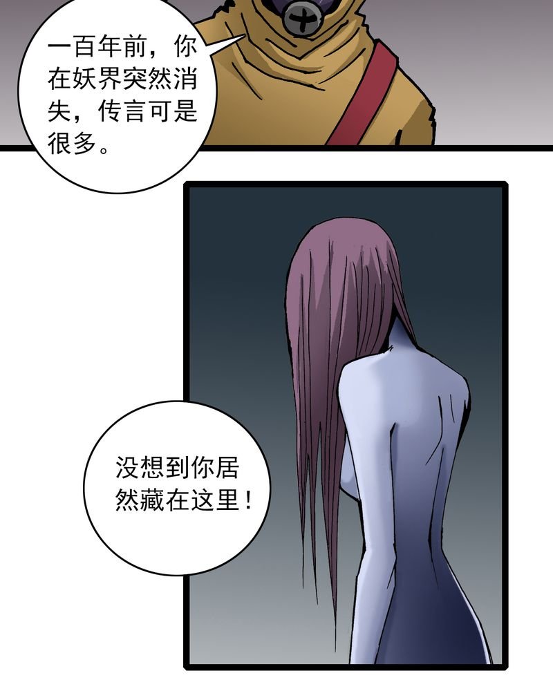 第25章：蜘蛛与蛤蟆
