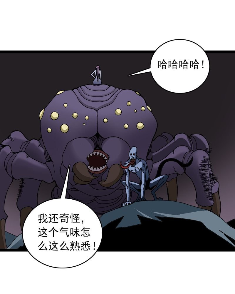 第25章：蜘蛛与蛤蟆