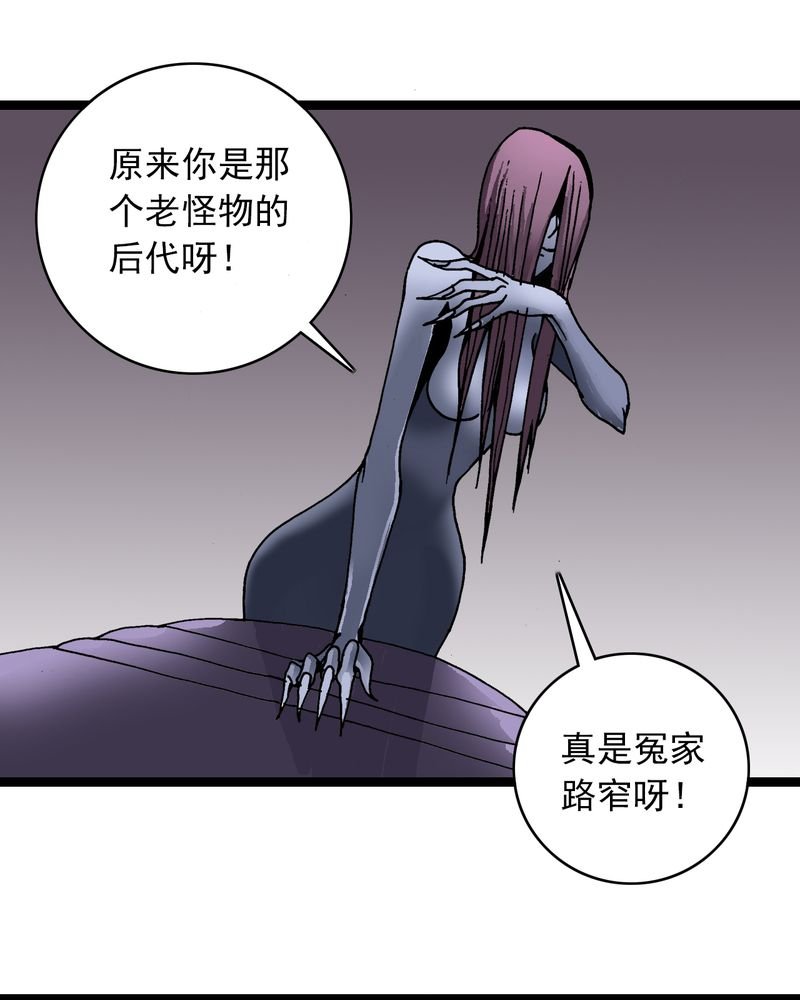 第25章：蜘蛛与蛤蟆