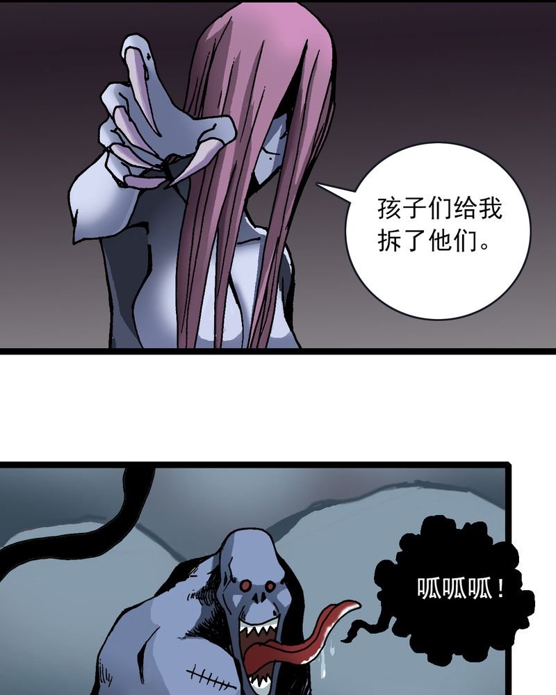 第25章：蜘蛛与蛤蟆