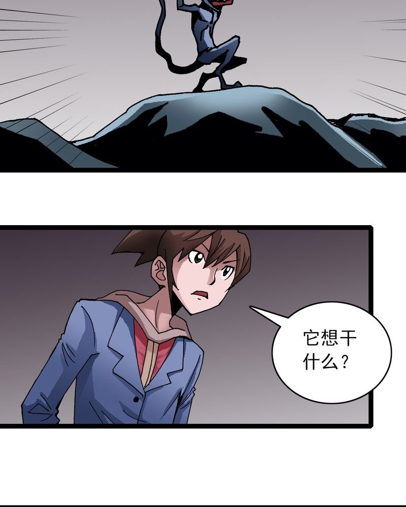 第25章：蜘蛛与蛤蟆