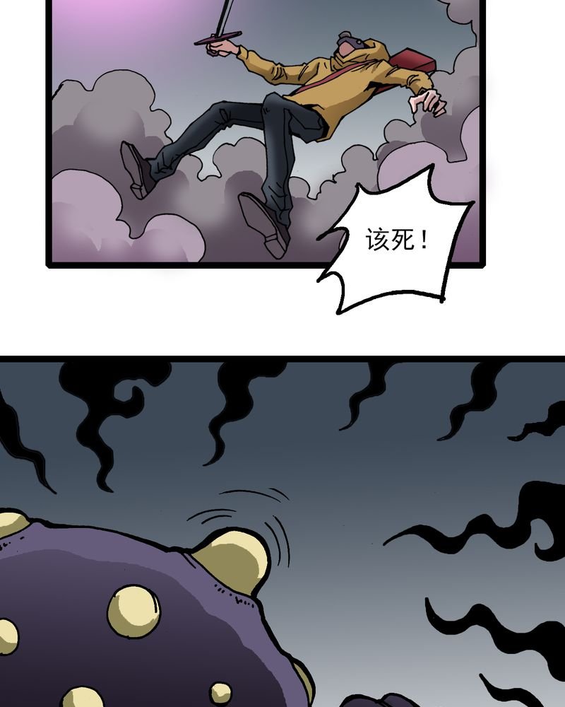 第25章：蜘蛛与蛤蟆