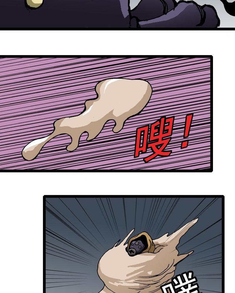 第25章：蜘蛛与蛤蟆