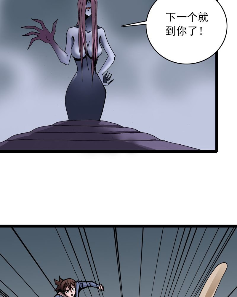 第25章：蜘蛛与蛤蟆