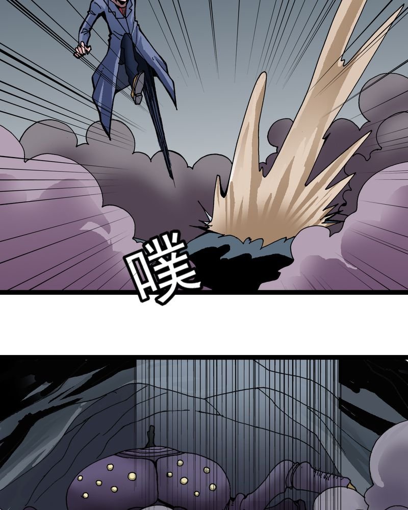 第25章：蜘蛛与蛤蟆